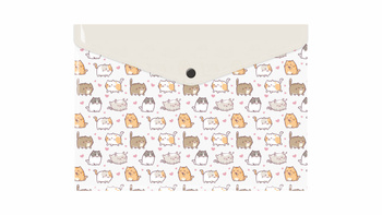 Teczka koperta A4 pp z nadrukiem kittens