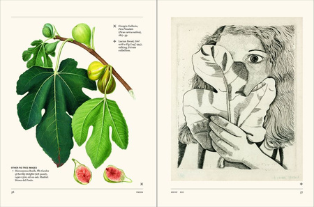 The Secret Language of Plants