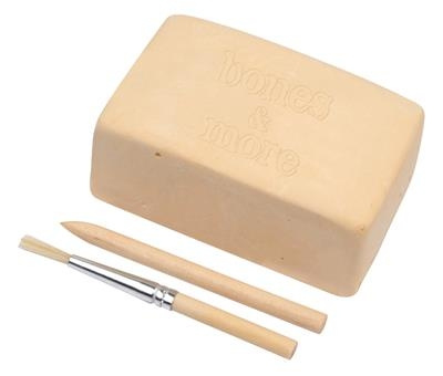 Kamień wykopaliska Bones&more