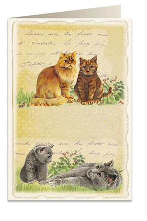 Karnet B6 koperta 5904 Koty