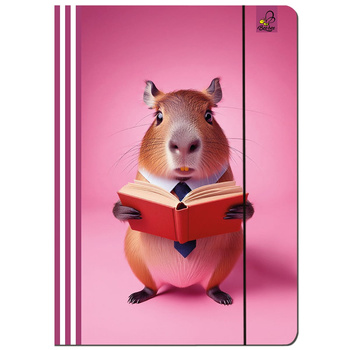 Paczka Teczka A4 z gumką Kapibara różowa  5 sztuk