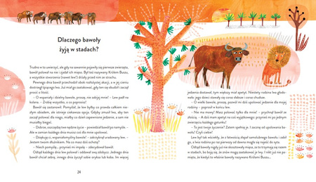 Dlaczego pawian nie lubi żółwia? Opowieści z serca Afryki