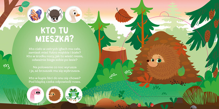 Czy już wiesz, gdzie śpi jeż? Kto mieszka na łące