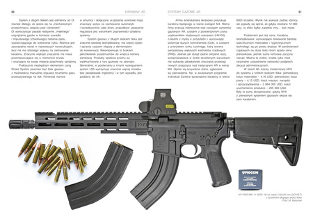 Karabiny AR. Historia i współczesność