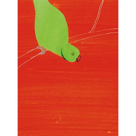 Dziś opowiem wam o anakondzie