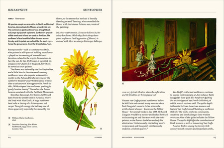 The Secret Language of Plants