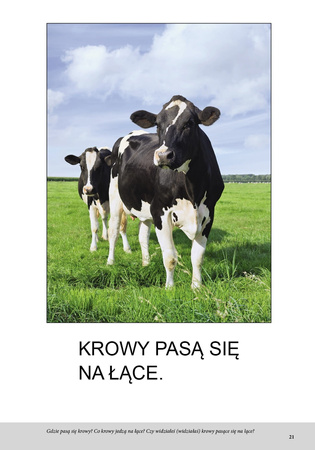 Wieś Bardzo proste czytanki