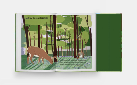 A Family of Trees. My First Book of Forests