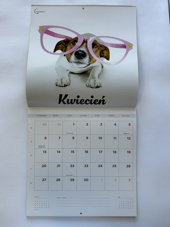 Kalendarz 2026 ścienny Najlepsi przyjaciele Psy