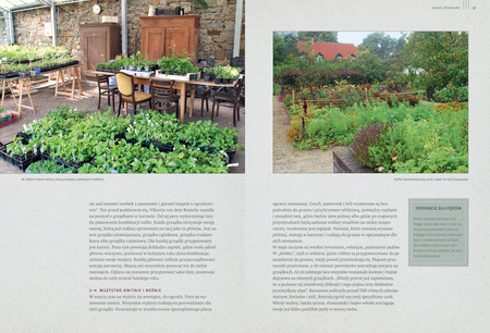 Sekrety ogrodu siostry Christy. Dlaczego rzodkiewki kochają marchewki. Zakonny poradnik ogrodniczy