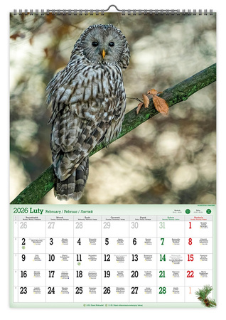 Kalendarz 2026 ścienny Leśne uroczyska A2 V5