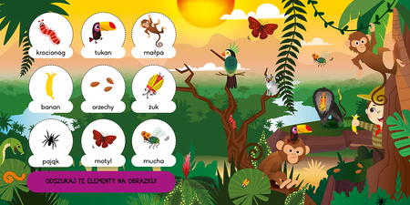 Dżungla. Magiczna latarka