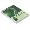 Papier Brystol A4 100 ark.250g