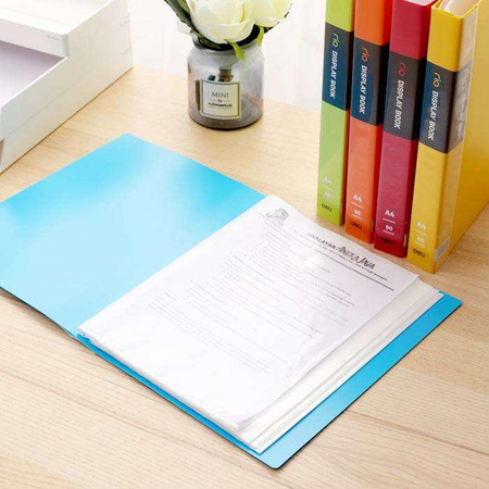 Album ofertowy A4 Rio PP 60 koszulek zielony