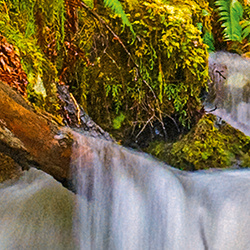 Puzzle 1000 CherryPazzi Silky Smooth 30615