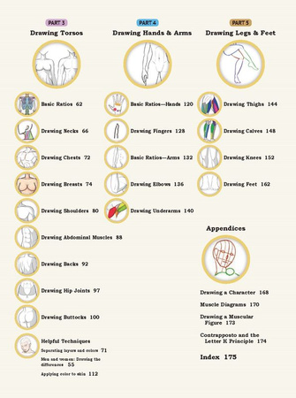 How To Create Manga Drawing Human Body wer. angielska