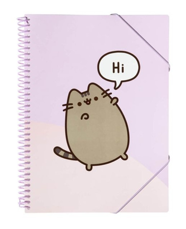 Skoroszyt A4 z gumką Pusheen CFA405 30 kartek