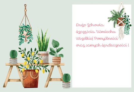 Karnet B6 Kwiaty doniczkowe