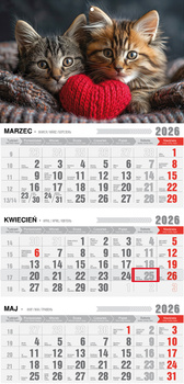 Kalendarz 2026 trójdzielny ekonomiczny z magnesem Kotki KTM VM19