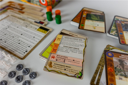 Gra Spirit Island Rozdarta Ziemia dodatek