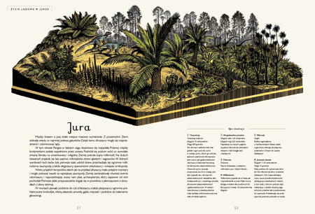 Dinozaurium. Muzeum dinozaurów wyd. 2024