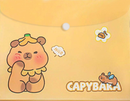 Teczka A4 kopertowa na zatrzask Kapibara