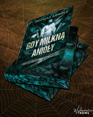 Gdy milkną anioły (ilustrowane brzegi)
