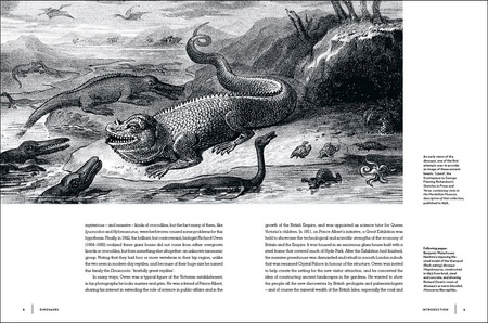 Dinosaurs wer. angielska