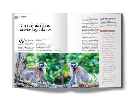 Madagaskar i Nose Be. Złota Seria