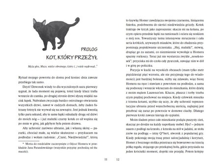 Odyseja kota imieniem Homer