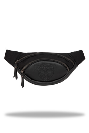 Saszetka nerka Disney 100 albany black collection