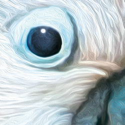 Puzzle 1000 CherryPazzi Tropic Spirits Cockatoo 30462