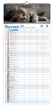 Kalendarz 2026 ścienny paskowy szeroki Koty Kotki Koteczki KPS V6