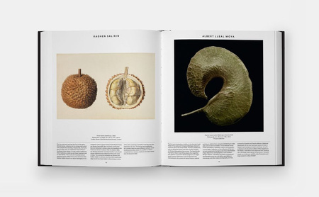 Plant. Exploring the Botanical World wer. angielska