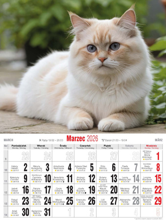 Kalendarz 2026 Koty KSM-4