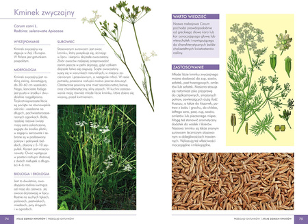 Atlas dzikich kwiatów