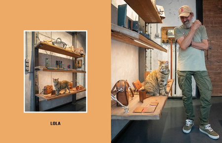 City Cats of Istanbul