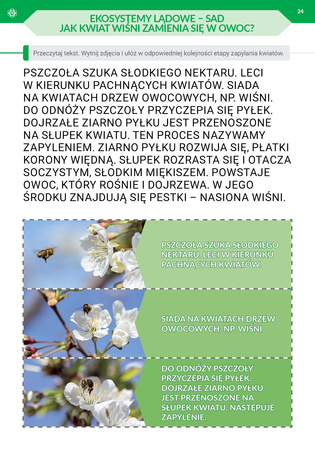 Podróż przez pory roku część 3 nowe wydanie Materiały dla II etapu nauczania uczniów z niepełnosprawnością intelektualną w stopniu umiarkowanym