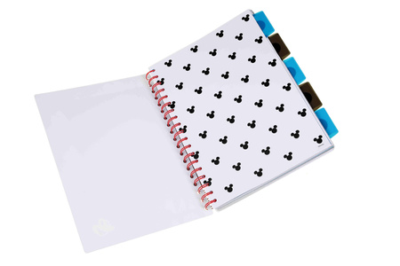 Kołobrulion B5 Disney fashion Mickey 100 kartek 1 szt. mix