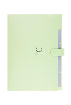 Teczka A4 plastikowa 5 przegródkami zielona