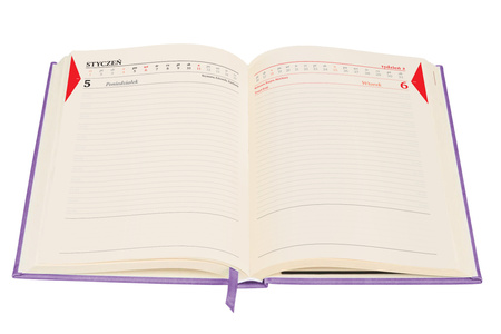 Kalendarz 2026 Colorfix A5 DNS liliowy