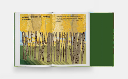 A Family of Trees. My First Book of Forests