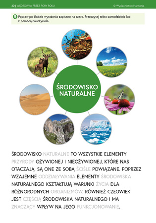 Wędrówka przez pory roku Wiosna