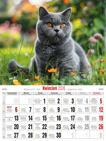 Kalendarz 2026 Koty KSM-4