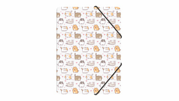 Teczka z gumką A4 pp z nadrukiem kittens