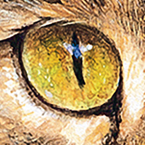 Puzzle 1000 CherryPazzi Gemini 30196