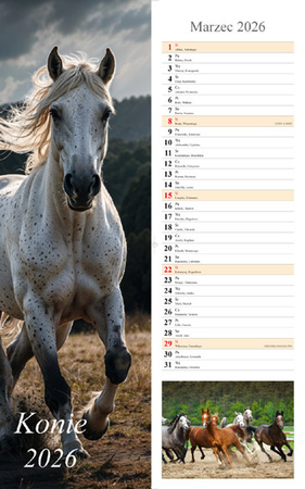 Kalendarz 2026 paskowy Konie