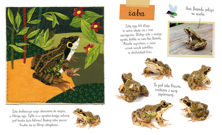 Mały atlas zwierzaków Ewy i Pawła Pawlaków wyd. 2025