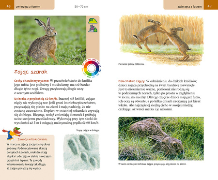 Wielki przewodnik po świecie przyrody. Zwierzęta i rośliny