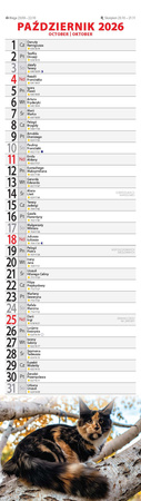 Kalendarz 2026 Koty KP-2